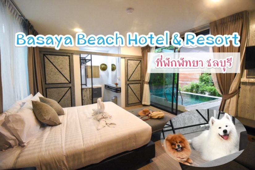 Basaya Beach Hotel & Resort ที่พักพัทยา วิวทะเล น้องหมาพักได้ - ชลบุรี  โรงแรม ที่พักหมาพักได้ - Pet Friendly hotel Thailand 2023 ที่พักสัตว์เลี้ยงพักได้  ที่พักสุนัขพักได้ ที่พักหมาแมวพักได้ ทั่วไทย - อุปกรณ์พกพา - Powered by  Discuz!