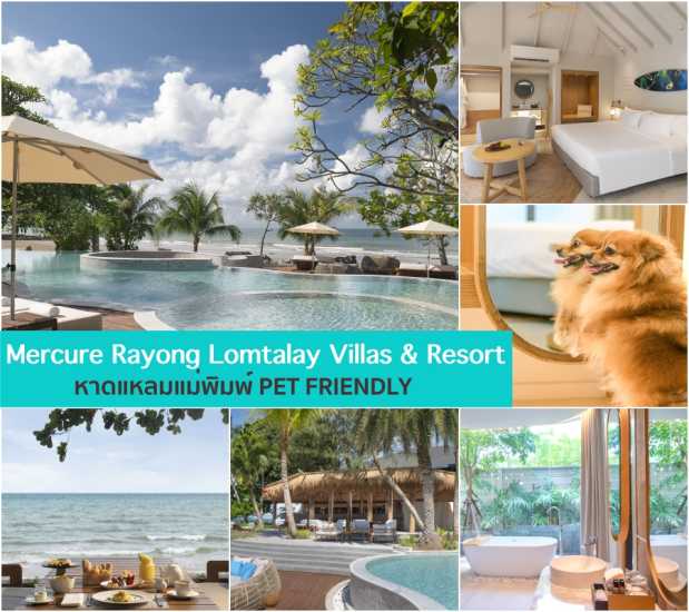Mercure Rayong Lomtalay Villas & Resort ที่พักติดทะเล เปิดใหม่ หาดแหลมแม่พิมพ์ PET FRIENDLY สวยฟินกันสุดๆ พาน้องหมาแมวเที่ยวทะเลกัน ที่พัก ระยองใหม่ๆ สัตส์เลี้ยงพักได้ - ระยอง โรงแรม ที่พักหมาพักได้ - Pet Friendly hotel Thailand 2023 ที่พักสัตว์เลี้ยง ...