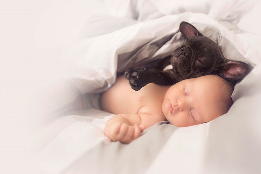baby-dog-friendship-french-bulldog-ivette-ivens-2.jpg