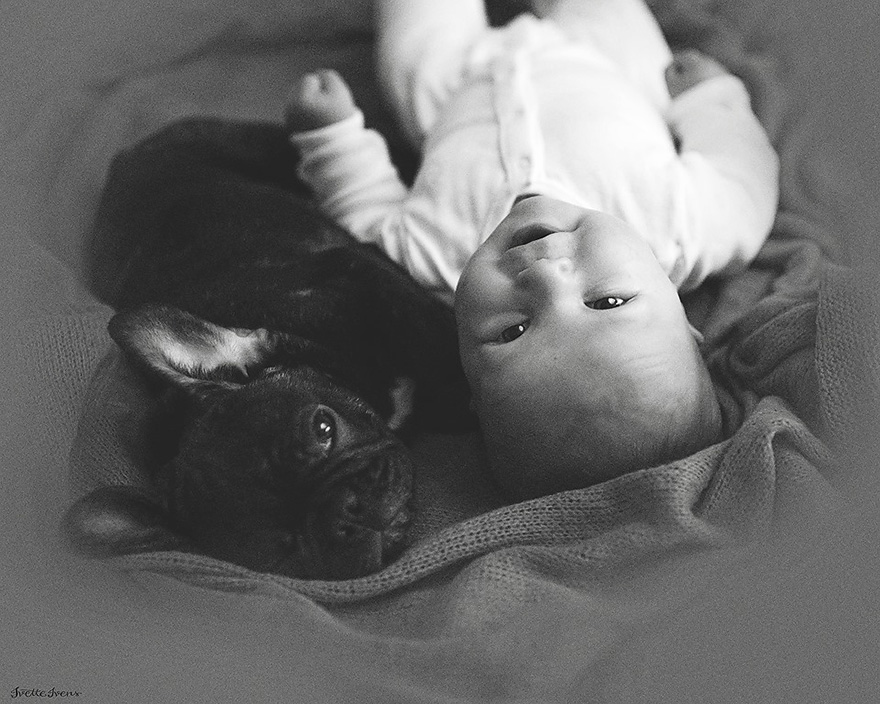baby-dog-friendship-french-bulldog-ivette-ivens-6.jpg