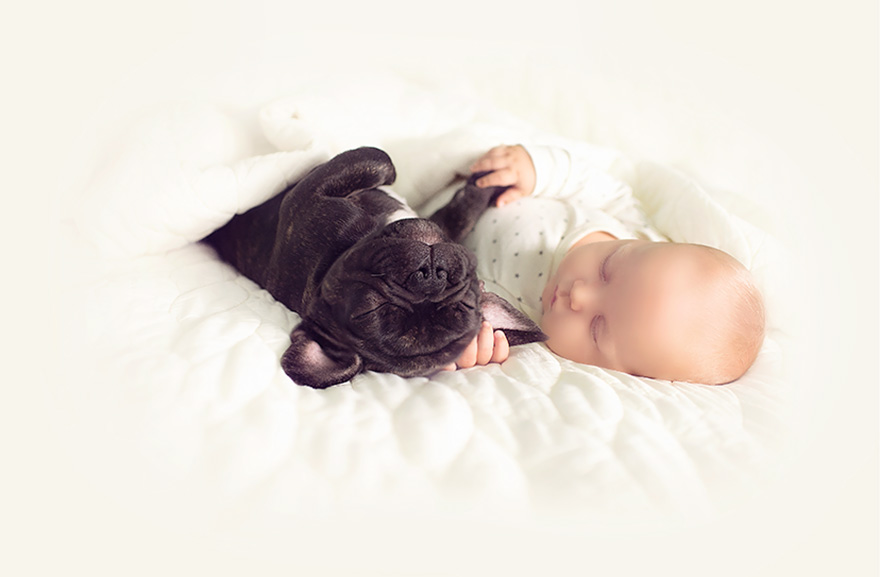 baby-dog-friendship-french-bulldog-ivette-ivens-10.jpg
