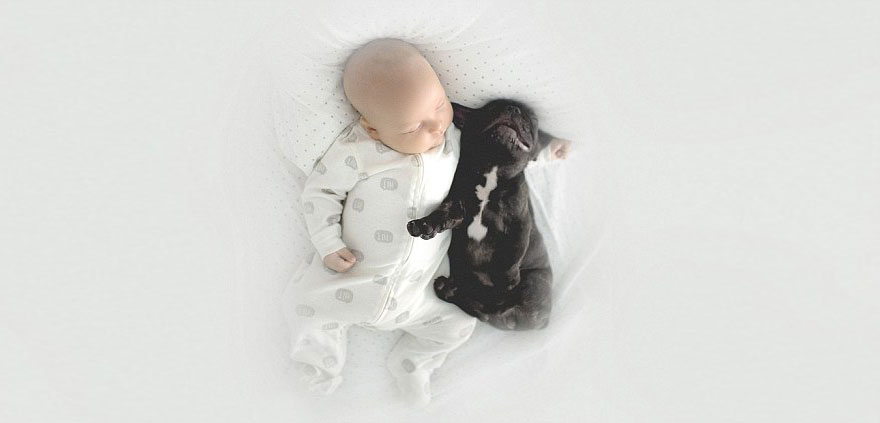 baby-dog-friendship-french-bulldog-ivette-ivens-24.jpg