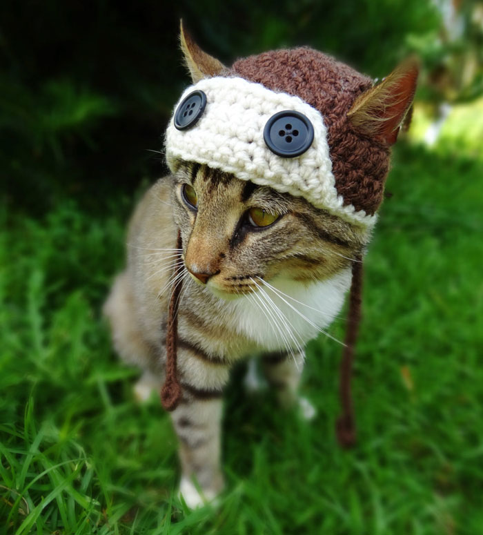 crochet-handmade-hats-pets-iheartneedlework-7__700.jpg