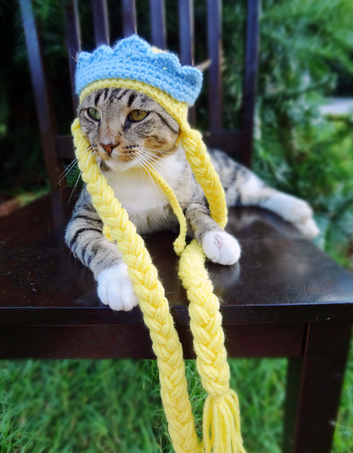 crochet-handmade-hats-pets-iheartneedlework-13__700.jpg