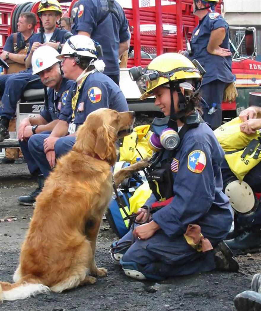 last-9-11-rescue-dog-birthday-party-new-york-bretagne-denise-corliss-7.jpg