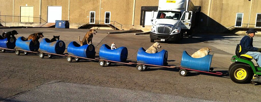rescued-dog-train-tractor-stray-eugene-bostick-1.jpg