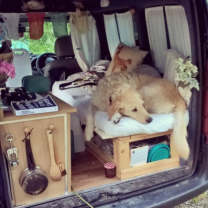 girl-restores-van-travels-with-dog-marina-piro-16.jpg