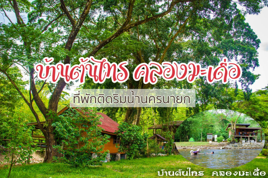 บ้านต้นไทร คลองมะเดื่อ ที่พักติดริมน้ำนครนายก