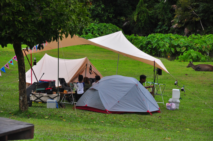 บ้านต้นไทร คลองมะเดื่อ ที่พักติดริมน้ำนครนายก