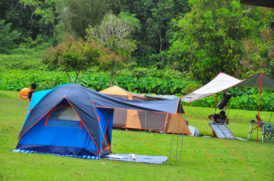 บ้านต้นไทร คลองมะเดื่อ ที่พักติดริมน้ำนครนายก