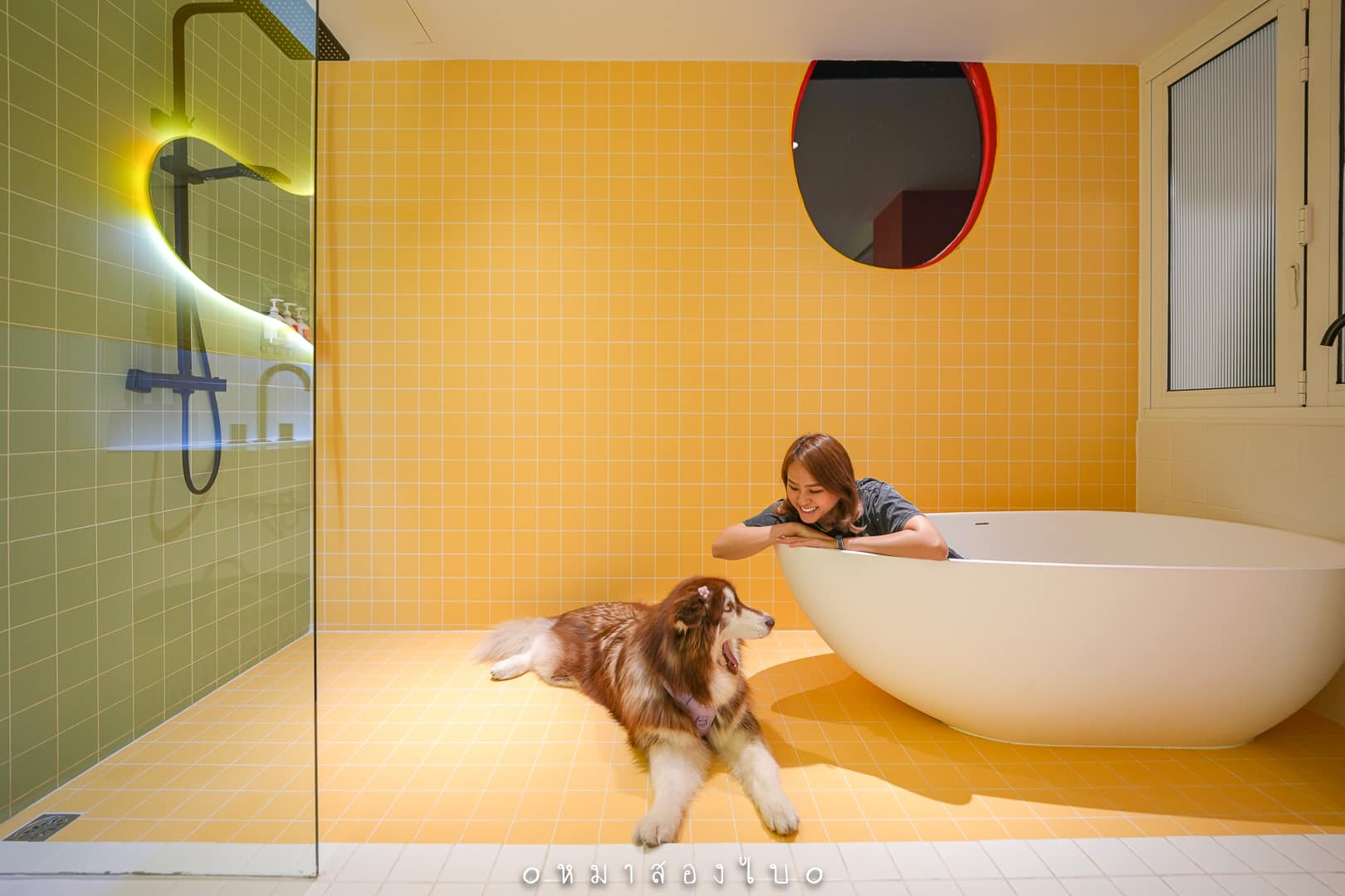 The Fig Lobby โรงแรมน้องหมาแมวพักได้ กรุงเทพ ใจกลางคลองเตย สีสันสดใส หมาใหญ่พักได้ด้วย