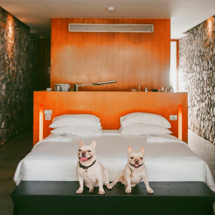 Tolani Resort Kui Buri ที่พักติดทะเลหมาแมวพักได้ พูลวิลล่าสุดหรู พร้อมหาดส่วนตัว “กุยบุรี” หมาใหญ่พักได้ด้วย