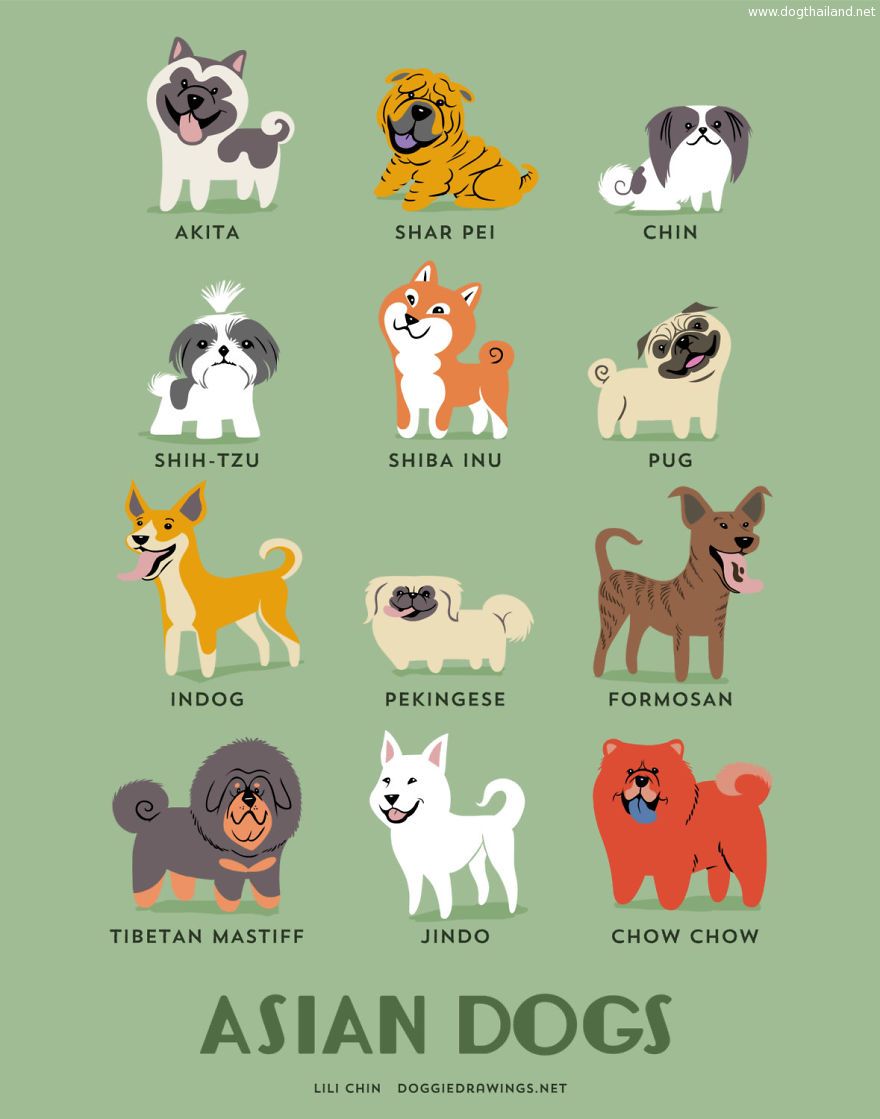 Dogs-Of-The-World-Cute-Poster-Series-Shows-The-Geographic-Origin-Of-Dog-Breeds1__880.jpg