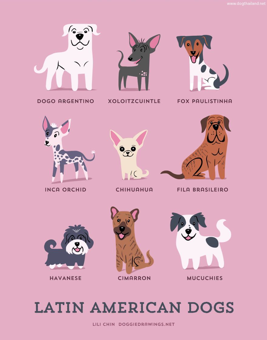 Dogs-Of-The-World-Cute-Poster-Series-Shows-The-Geographic-Origin-Of-Dog-Breeds8__880.jpg