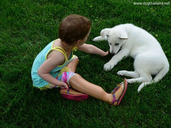 3-year-old-girl-amputated-legs-puppy-without-paw-sapphyre-johnson-lt-dan-2.jpg