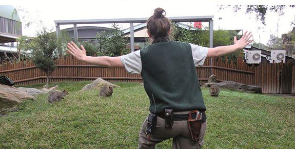 zookeepers-recreating-jurassic-world-raptor-scene-2__605.jpg