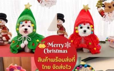 ชุดคริสต์มาสสำหรับสัตว์เลี้ยง ชุดซานตาครอสสำหรับสัตว์เลี้ยง ชุดคริสต์มาสหมาแมว แซนตี้สุนัข ซานต้าหมาแมว Christmas Santa Dog Cat Pet Costume มีทุกแบบ ทั้งหมวกกวาง หมวกซานต้า ผ้าคลุมชุดคริสต์มาส ผ้าพันคอ พร็อพวันคริสต์มาส อัพเดทใหม่ ปี 2023-2024