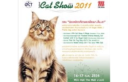 งานน้องแมว Thailand Cat Show ครั้งที่11