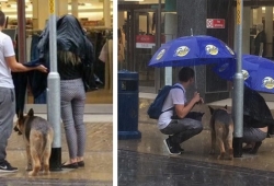 น่ารักประทับใจ เมื่อคู่รักกางร่มบังฝนให้สุนัข ระหว่างรอเจ้านายเลือกซื้อของ