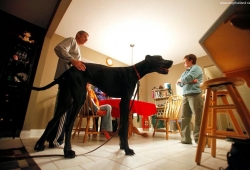 "เซอุส" หมาสูงที่สุดในโลก ได้เสียชีวิตแล้ว  ด้วยวัย 5 ปีกว่า