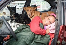 ครูสาวตกงานรักหมาตัวเองยิ่งชีพ ยอมนอนในรถแทนบ้านพักฟรี เพื่อดูแลหมา 2 ตัว