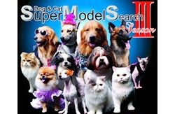 ประกวด Dog and Cat Super Model ปี 3