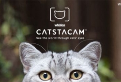 Catstacam ปลอกคอติดกล้องสำหรับเจ้าเหมียว ทาสแมว ทูลหัวของบ่าวสนไหม