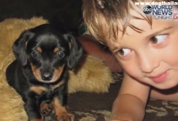 คลิปดัง เด็กชายแอบลอบเข้ามา “กอดสุนัขที่บ้าน” จนโด่งดังทั่วโลกออนไลน์ เหตุเคยสูญเสียหมาสุดรักไปเลยคิดถึง