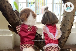 ชุดไทยน้องหมาราคาถูก ชุดไทยสุนัข ชุดไทยแมว ราคา 290 บาทเท่านั้น !